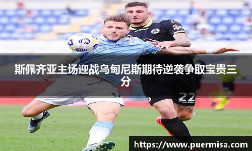 斯佩齐亚主场迎战乌甸尼斯期待逆袭争取宝贵三分